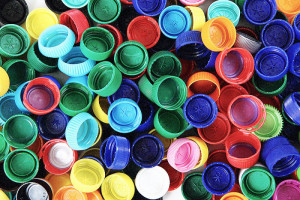 Batterio mangia le bottiglie di plastica, la scoperta a Kyoto